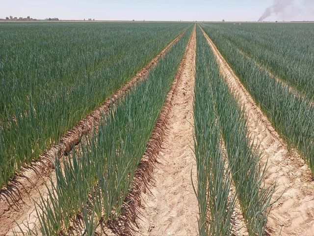 Productos AGROMART
