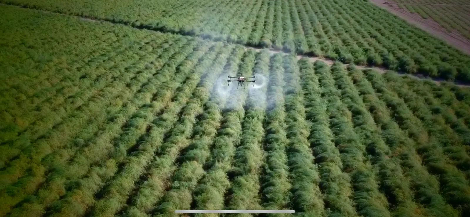 Productos AGROMART